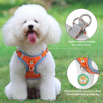 Outdoor Walking Adjustable Vest Dog Harness Leash Set - GreenFur