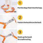Outdoor Walking Adjustable Vest Dog Harness Leash Set - GreenFur