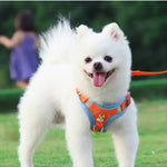 Outdoor Walking Adjustable Vest Dog Harness Leash Set - GreenFur