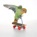 Parrot Intelligence Training Scooter Toy Skateboard with Upgraded Alloy Stand - GreenFur
