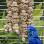 Parrot Toy for Chewing Features Natural Corn Cob and Loofah Slices - GreenFur