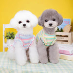 Pastel Stripe Dog Dress with Ruffle and Daisy Embellishment - GreenFur