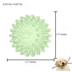 Paw Print Hollow TPR Dog Chew Toy in Multiple Colors - GreenFur