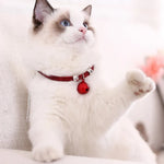 Pet Accessories Adjustable Cute Kitty Cat Pet Bell Collar - GreenFur