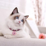 Pet Accessories Adjustable Cute Kitty Cat Pet Bell Collar - GreenFur