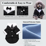 Pet Banquet Tuxedo for Dogs Striped Tailcoat Suit - GreenFur