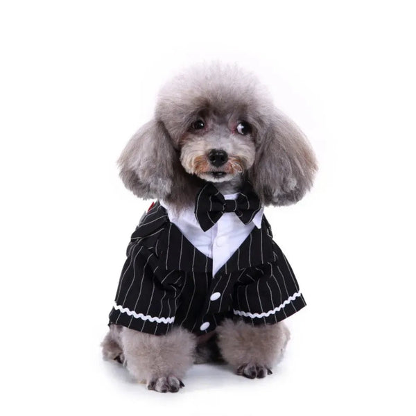 Pet Banquet Tuxedo for Dogs Striped Tailcoat Suit - GreenFur