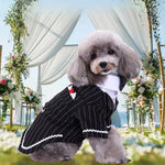 Pet Banquet Tuxedo for Dogs Striped Tailcoat Suit - GreenFur