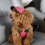 Pet Baseball Cap for Outdoor Sun Protection - GreenFur
