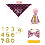 Pet Birthday Party Set with Dog Bandana Hat and Bowtie - GreenFur