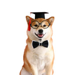 Pet Cosplay Graduation Outfit Three - Piece Costume Set - GreenFur