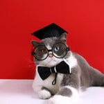 Pet Cosplay Graduation Outfit Three - Piece Costume Set - GreenFur
