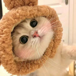Pet Costume Cosplay Warm Headwear Soft Cute Cat Hat - GreenFur