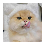 Pet Costume Cosplay Warm Headwear Soft Cute Cat Hat - GreenFur