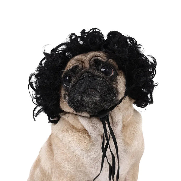 Pet Curly and Afro Wig Wig for Dogs Halloween Accessories - GreenFur