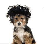 Pet Curly and Afro Wig Wig for Dogs Halloween Accessories - GreenFur