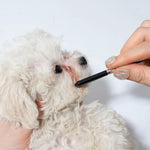 Pet Facial Eye Grooming Tool Gentle Round Tip Dog Comb - GreenFur