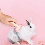 Pet Grooming Comb Hair Removal Silicone Soft Teeth Rabbit Brush - GreenFur