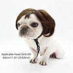 Pet Hair Accessories Funny Dog Cat Cosplay Pet Wigs - GreenFur