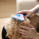 Pet Hair Remover Comb One - click Self Cleaning Pet Brush - GreenFur