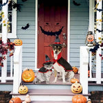 Pet Halloween Cloak Cosplay Vampire Cloak for Cats and Small Dogs - GreenFur