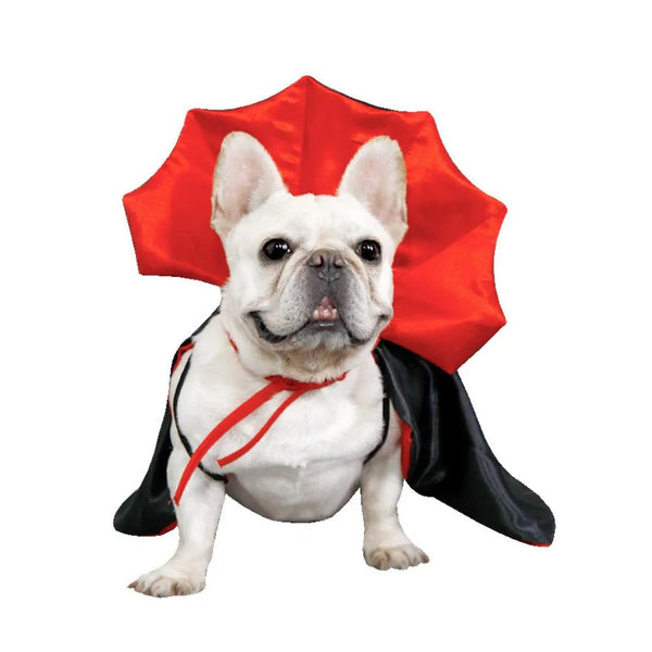 Pet Halloween Cosplay Apparel Dog Wizard Cape - GreenFur