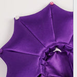 Pet Halloween Purple Cloak and Hat Costume Set - GreenFur