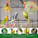 Pet Hanging Foraging Shredder Toys for Bird - GreenFur