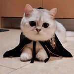 Pet Harry Potter Dress - Up Cloak and Hat for Cats and Dogs - GreenFur