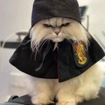 Pet Harry Potter Dress - Up Cloak and Hat for Cats and Dogs - GreenFur