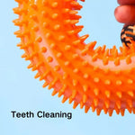 Pet Interactive Rope Knot TPR Toy Teeth Cleaning Dog Toy - GreenFur