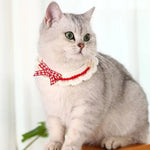 Pet Neck Accessory Cute Knitted Cat Collar - GreenFur