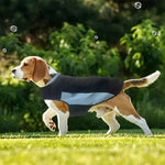 Pet New Warm Comfortable Soothing Calming Dog Clothes - GreenFur