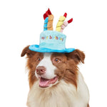 Pet Party Supplies Adorable Happy Birthday Dog Party Hat - GreenFur