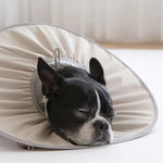 Pet Recovery Collar Comfortable E - Collar For Post - Surgery Care - GreenFur