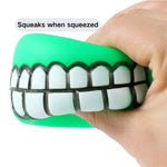 Pet Squeaky Vinyl Chew Toy Dog Ball Toy - GreenFur
