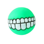 Pet Squeaky Vinyl Chew Toy Dog Ball Toy - GreenFur