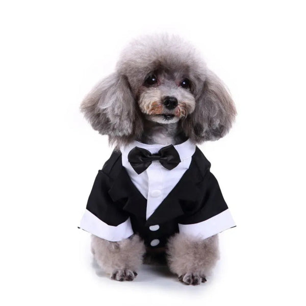 Pet Wedding Tuxedo Gentleman Suit with Bow for Dogs - GreenFur