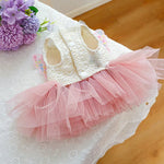 Pink Color Pet Clothes Cute Butterfly Fairy Tulle Dress for Dog - GreenFur