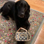 Plush Dog Toy Handbag and Bone Shapes Soft Chew Toy - GreenFur