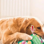 Plush Dog Toys Crinkle Squeaky Dog Toys Food Shaped Pet Toys for Small Medium Large Dogs - GreenFur