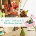 Plush Squeaky Interactive Dog Toy with Chew - Resistant Knots - GreenFur