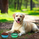 Portable Foldable Silicone Dog Bowl Outdoor Pet Bowl - GreenFur