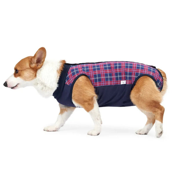 Post - Surgery Recovery Shirt with Button Closure for Dogs - GreenFur