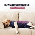 Post - Surgery Recovery Shirt with Button Closure for Dogs - GreenFur