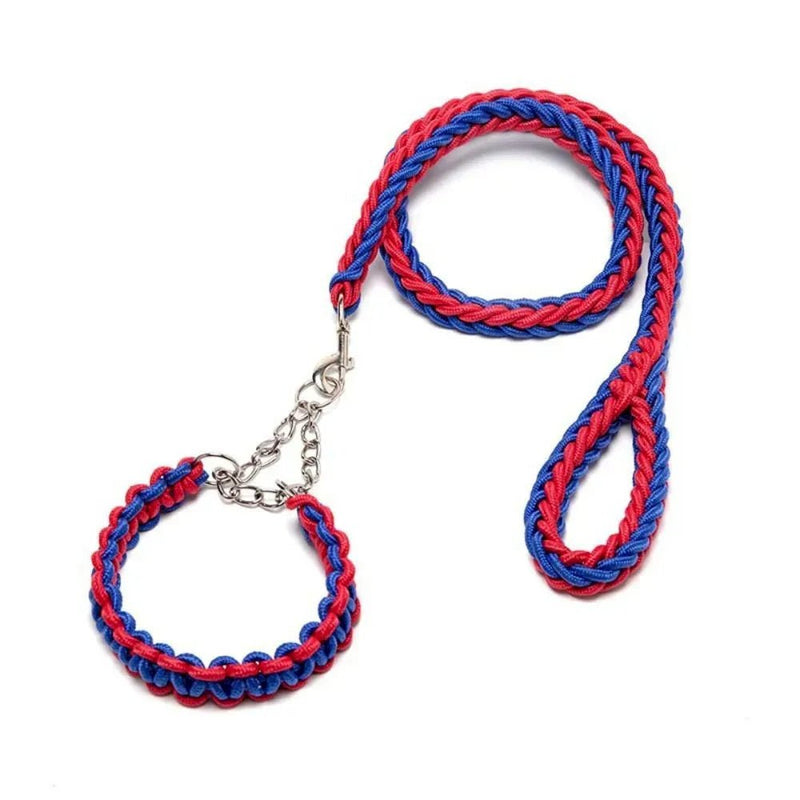 Premium Dog Leash with Anti - Shock P Chain Collar for Large Breeds - GreenFur