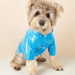 Press Button Closure PU Reflective Waterproof Dog Raincoat - GreenFur