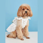 Princess Dress with Bow Knot - GreenFur