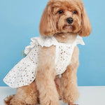 Princess Dress with Bow Knot - GreenFur
