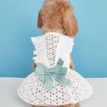Princess Dress with Bow Knot - GreenFur